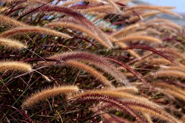 Best Eco-Friendly Cleaning Products Buying Guide